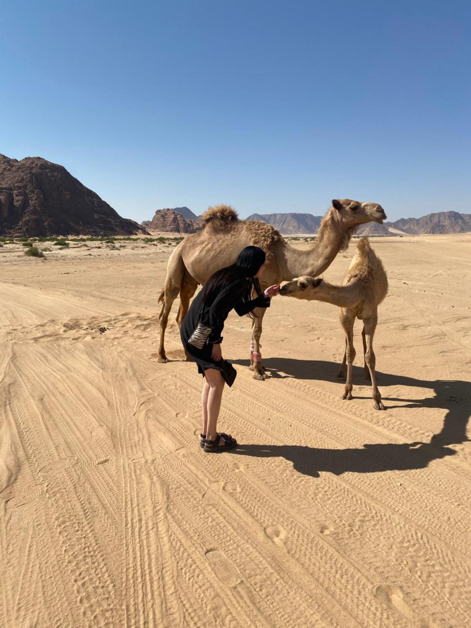 Desert'S Soul Wadi Rum Ad Disah エクステリア 写真